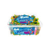 Pulpos pintalenguas Trolli en tarro con 120uds