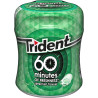 Trident 60 Minutes Hierba Bote 6ud 72gr