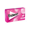 Trident Gragea Bubblemint 24ud