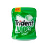 Trident Vibes Bote Hierba 70,2g 6ud
