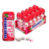 Mentos Gum Fresa Bote 10ud