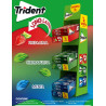 Pack Trident 60 Min 48ud 1€